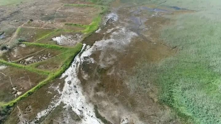 Aerial view of the Kaimbwe salt dambo between plots and reed beds